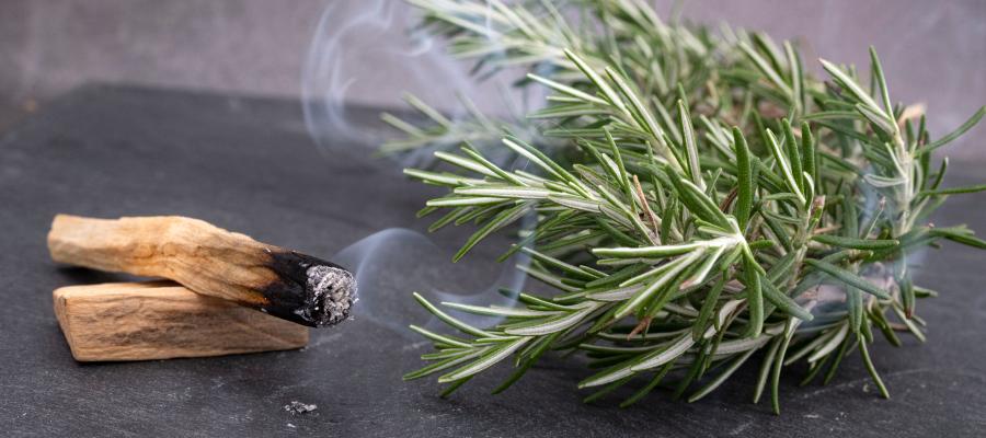 Zu sehen ist das Bild 1 des Beitrags mit dem Thema: Palo Santo „heiliges Holz“